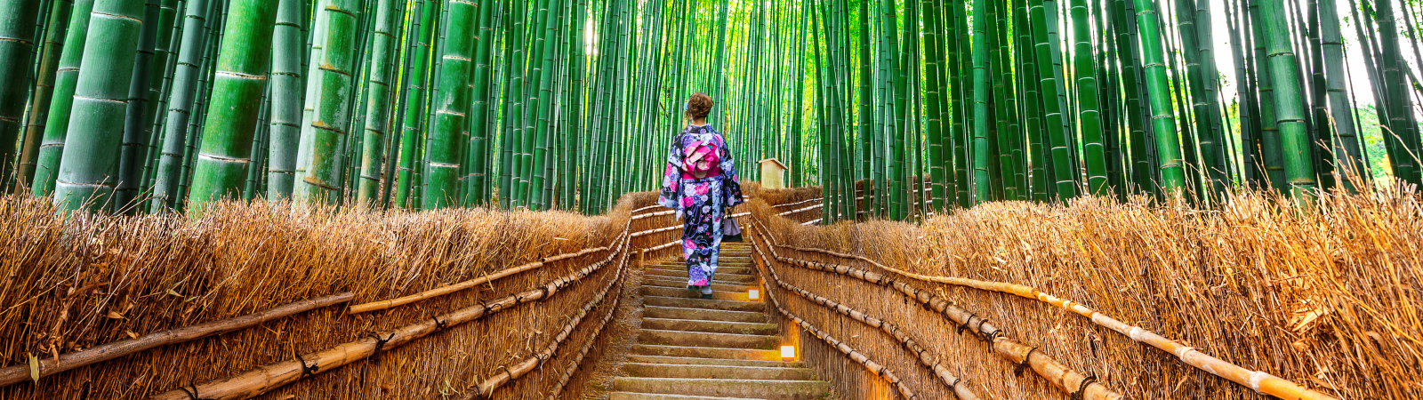 Arashiyama bamboo forest 