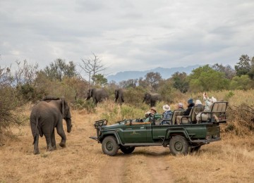 TOUR DU LỊCH NAM PHI - ĐÓN TẾT GIÁP THÌN 2024 SUN CITY – PRETORIA – JOHANNESBURG – KRUGER NATURAL RESERVE – CAPE TOWN 