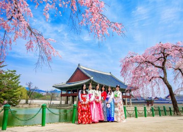 TOUR NGẮM HOA ANH ĐÀO 2024 SEOUL – ĐẢO NAMI – EVERLAND BAY HÃNG HÀNG KHÔNG VIETNAM AIRLINES