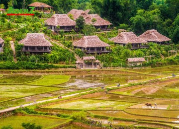 Tour Tây Bắc 5 ngày 4 đêm: TÚ LỆ - MÙ CANG CHẢI - LAI CHÂU - ĐIỆN BIÊN - MỘC CHÂU - MAI CHÂU 